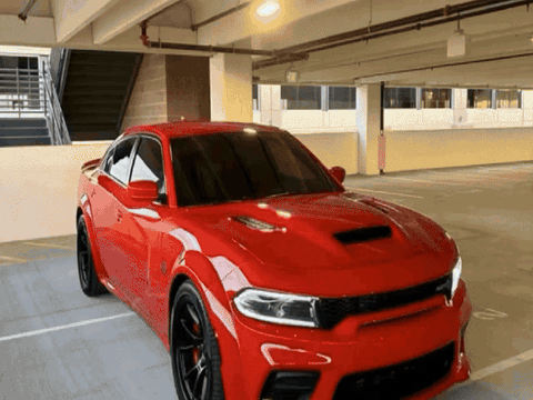 Прятки с Котятами